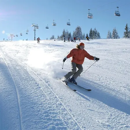 Koralpe Chalet 木屋 Elsenbrunn